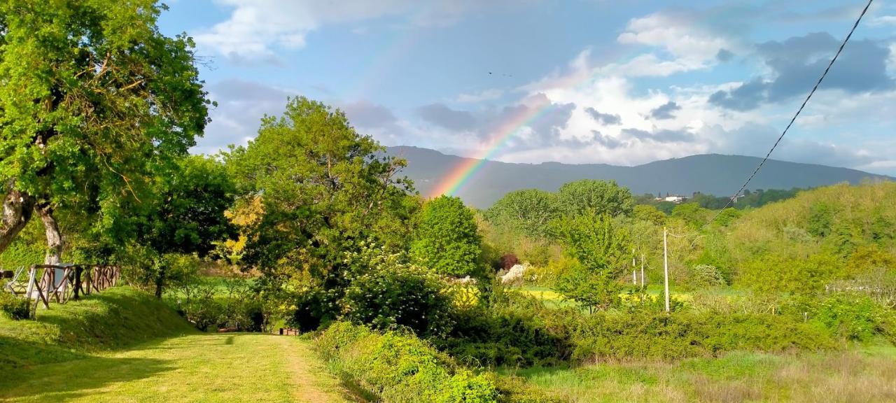 Agriturismo Lo Zolfino Penna Екстер'єр фото